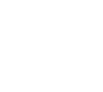 IAJ — Instituto de Apoio ao Jogador